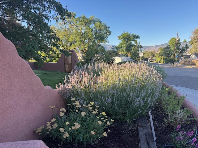 525 Solano Dr SE, Albuquerque, NM 87108 - photo 33