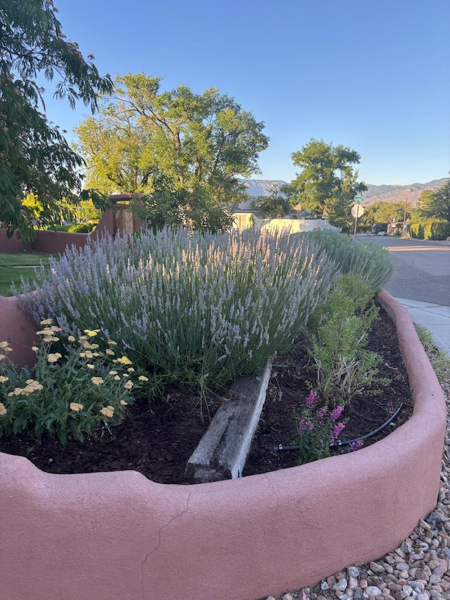 525 Solano Dr SE, Albuquerque, NM 87108 - photo 37