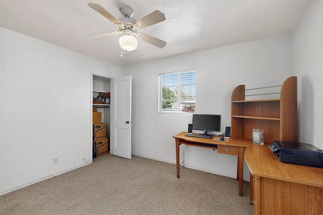 2425 Parsifal St NE, Albuquerque, NM 87112 - photo 28