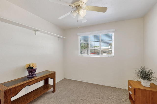 2425 Parsifal St NE, Albuquerque, NM 87112 - photo 33