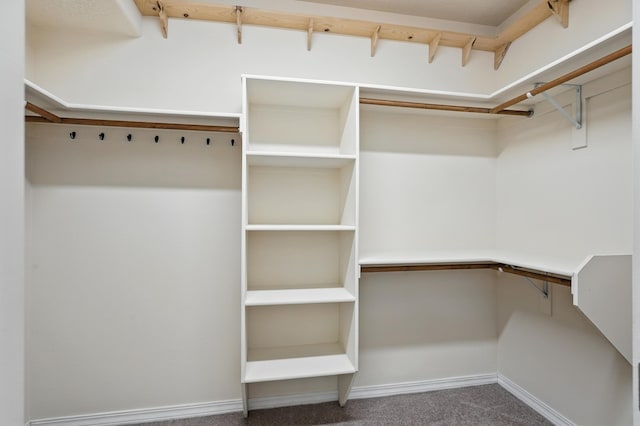 6903 Wrangell Loop NE, Rio Rancho, NM 87144 - walk in closet with carpet flooring