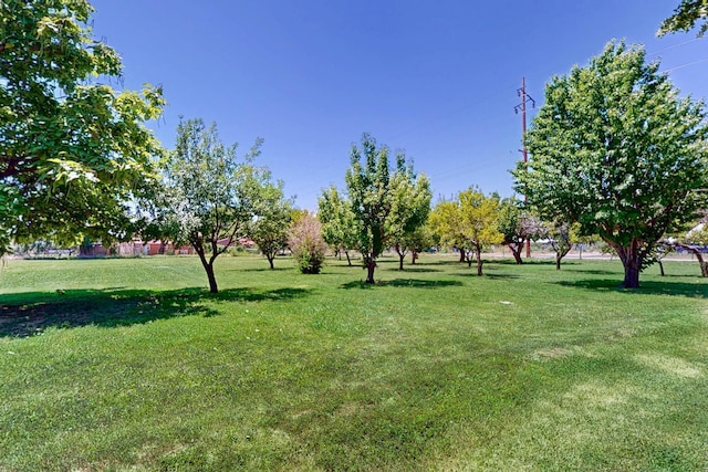 535 Tondre Rd NW, Los Lunas, NM 87031 - photo 50