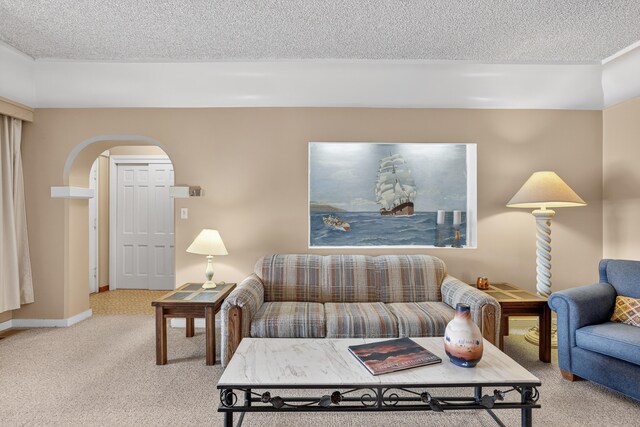 302 Crestview Dr SW, Albuquerque, NM 87105 - living area featuring arched walkways, carpet, and a textured ceiling