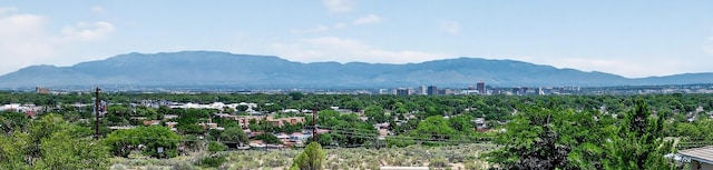 Churchill Rd SW, Albuquerque, NM 87105 - photo 2