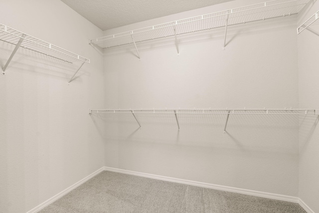 3244 Prairie Ridge St SW, Los Lunas, NM 87031 - photo 19