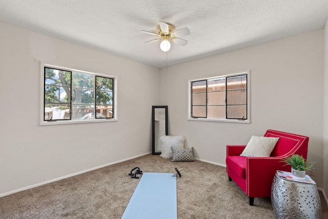 9201 Mescalero Rd NE, Albuquerque, NM 87111 - photo 25