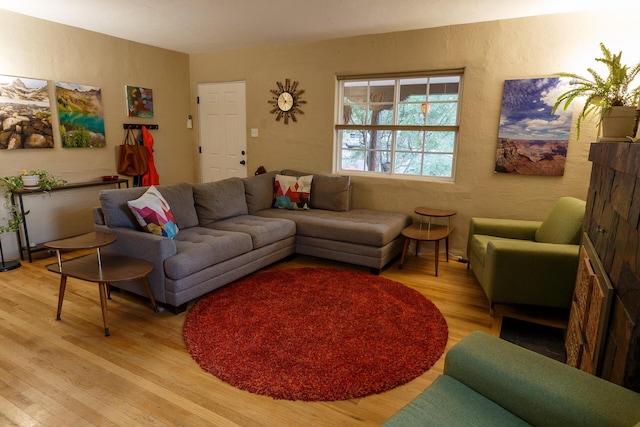 2723 Monterey Ave SE, Albuquerque, NM 87106 - photo 5