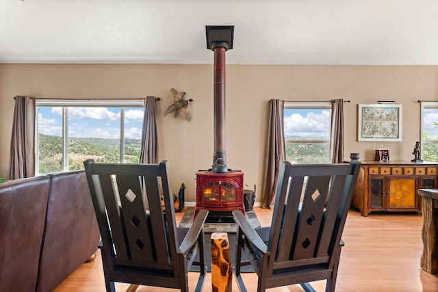 75 Matterhorn Dr, Cedar Crest, NM 87008 - photo 11