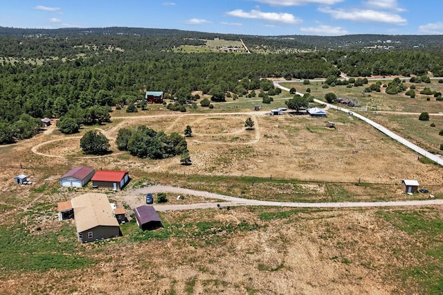 10384 Nm 337, Tijeras, NM 87059 - photo 37