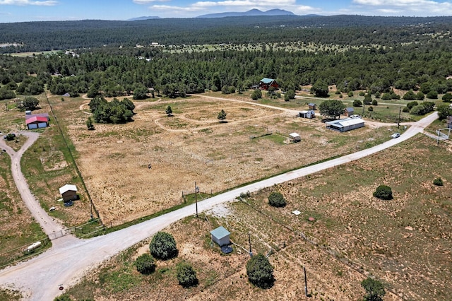 10384 Nm 337, Tijeras, NM 87059 - photo 36