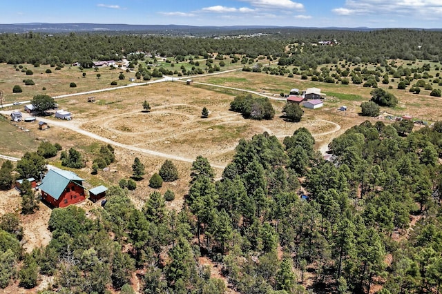 10384 Nm 337, Tijeras, NM 87059 - photo 34