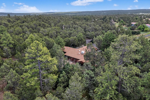 4 Scott Ct, Tijeras, NM 87059 - photo 48