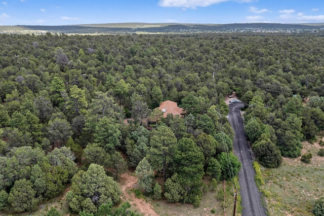 4 Scott Ct, Tijeras, NM 87059 - photo 47