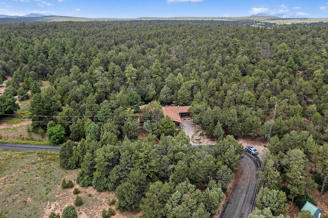 4 Scott Ct, Tijeras, NM 87059 - photo 46