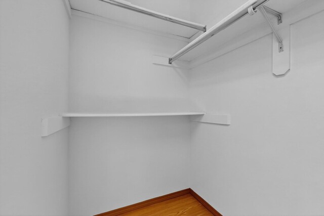 1865 Tramway Terrace Loop NE, Albuquerque, NM 87122 - walk in closet with light wood-style flooring