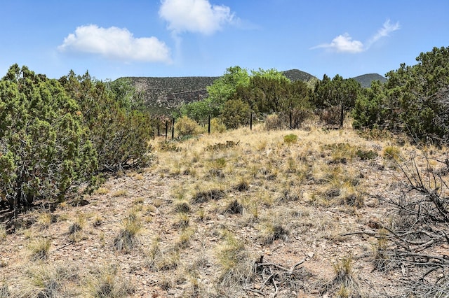 14 Al Pie De La Loma, Placitas, NM 87043 - photo 55