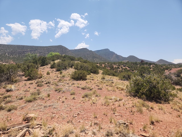 14 Al Pie De La Loma, Placitas, NM 87043 - photo 58