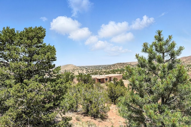 14 Al Pie De La Loma, Placitas, NM 87043 - photo 59