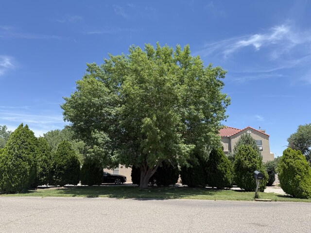 1684 Pace Rd NW, Albuquerque, NM 87114 - photo 3