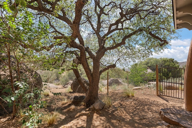 10 La Luz Trl NE, Albuquerque, NM 87122 - photo 56