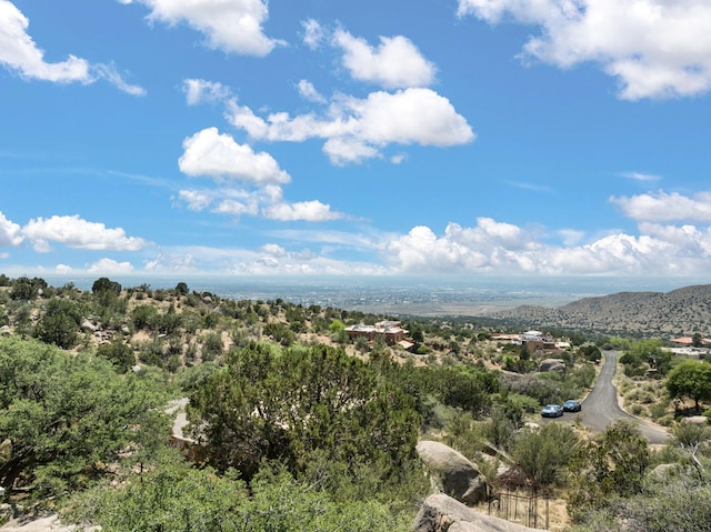 10 La Luz Trl NE, Albuquerque, NM 87122 - photo 64