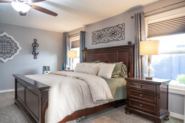 7904 Charger Trl NE, Albuquerque, NM 87109 - photo 28