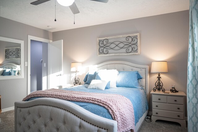 7904 Charger Trl NE, Albuquerque, NM 87109 - photo 35