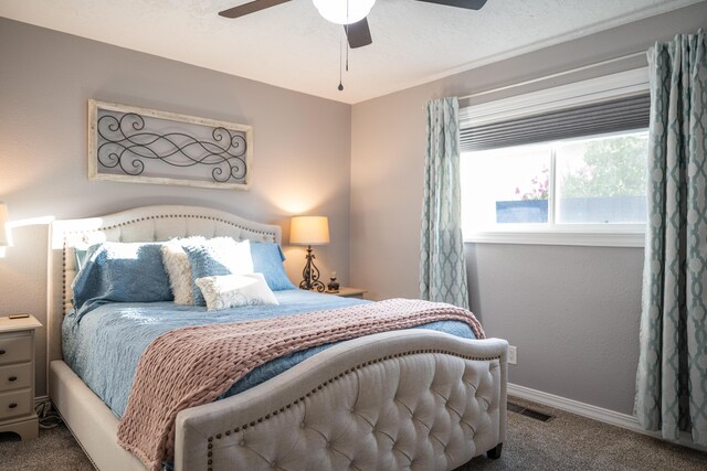 7904 Charger Trl NE, Albuquerque, NM 87109 - photo 36