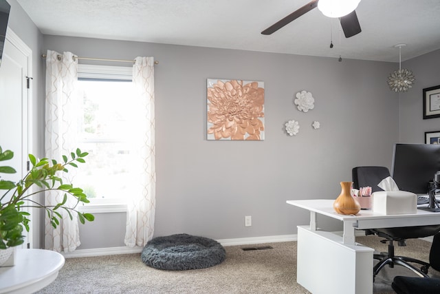 7904 Charger Trl NE, Albuquerque, NM 87109 - photo 37