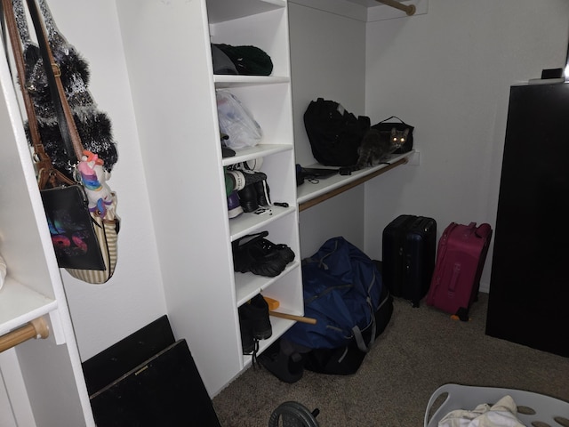 1612 Don Santos St SW, Albuquerque, NM 87121 - photo 15