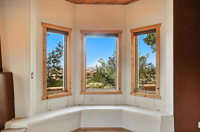 3 Second Mesa Dr, Placitas, NM 87043 - photo 26
