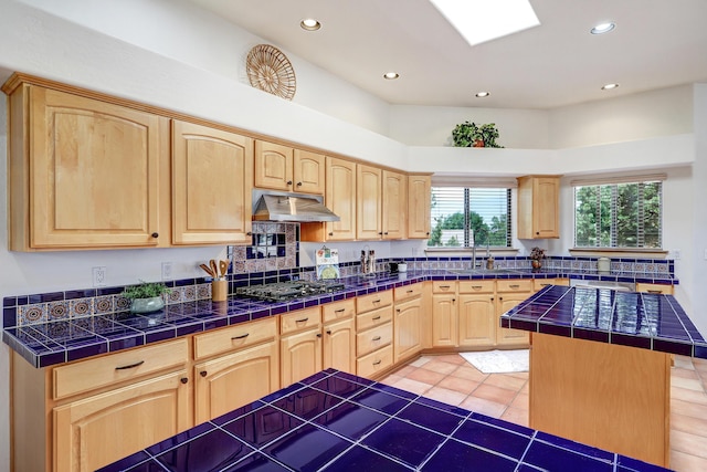 44 Roadrunner Trl, Placitas, NM 87043 - photo 12