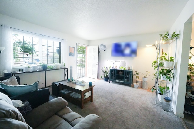 13421 Canyonview Pl NE, Albuquerque, NM 87123 - photo 3
