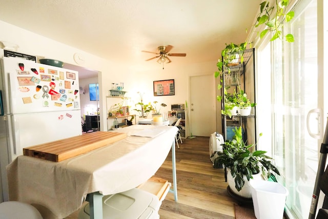 13421 Canyonview Pl NE, Albuquerque, NM 87123 - photo 7