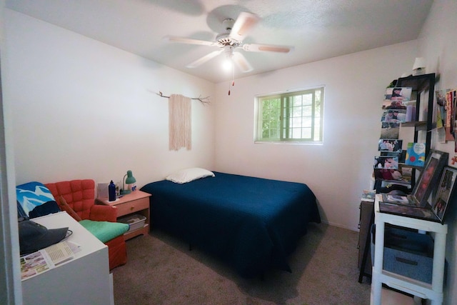 13421 Canyonview Pl NE, Albuquerque, NM 87123 - photo 14