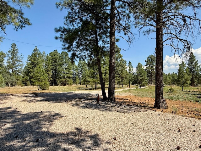 747 Timberlake Rd, Ramah, NM 87321 - photo 16