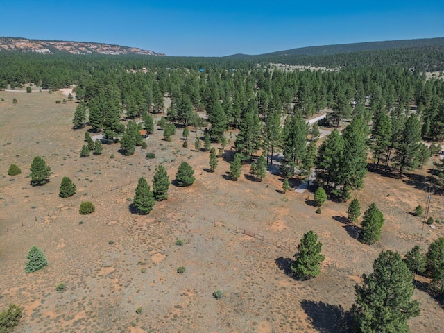 747 Timberlake Rd, Ramah, NM 87321 - photo 17