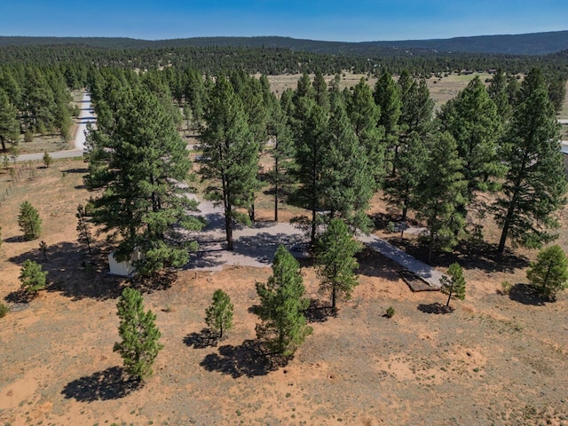 747 Timberlake Rd, Ramah, NM 87321 - photo 18