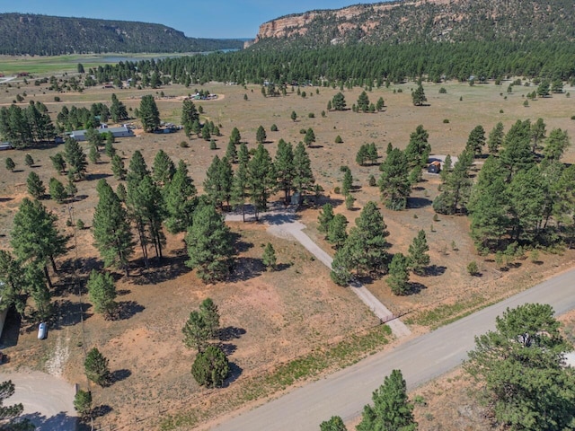 747 Timberlake Rd, Ramah, NM 87321 - photo 21