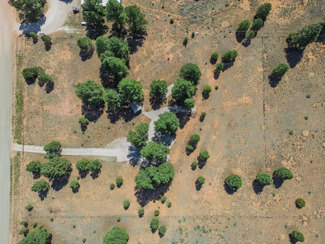 747 Timberlake Rd, Ramah, NM 87321 - photo 23