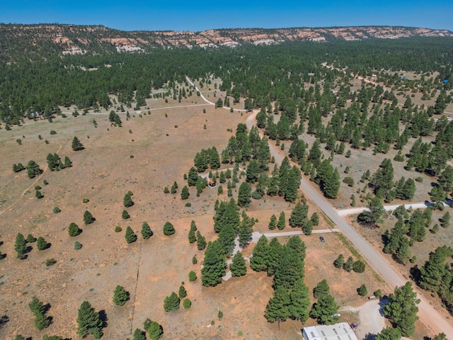 747 Timberlake Rd, Ramah, NM 87321 - photo 24
