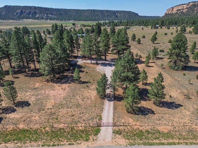 747 Timberlake Rd, Ramah, NM 87321 - photo 25