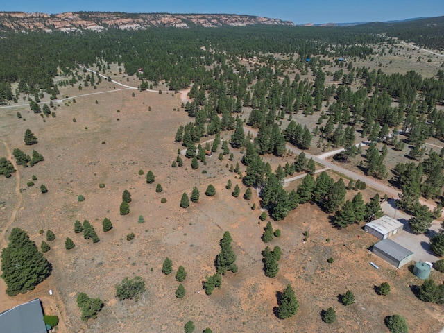 747 Timberlake Rd, Ramah, NM 87321 - photo 26
