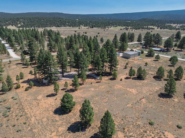 747 Timberlake Rd, Ramah, NM 87321 - photo 28
