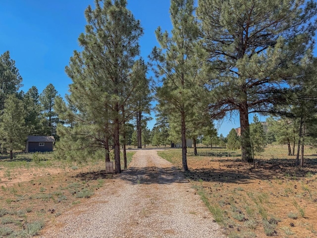 747 Timberlake Rd, Ramah, NM 87321 - photo 29