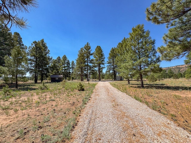 747 Timberlake Rd, Ramah, NM 87321 - photo 30