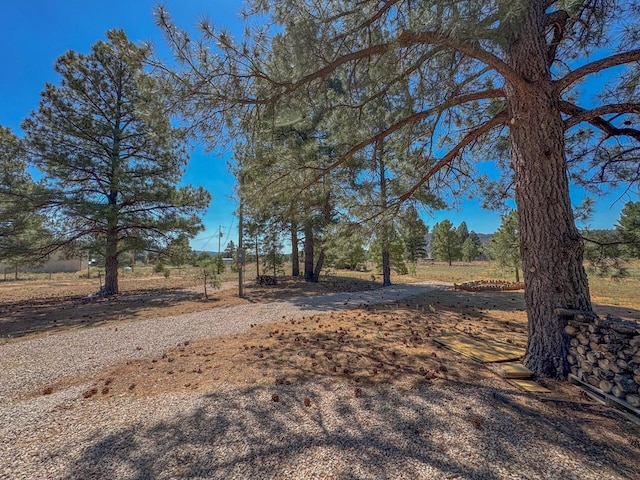 747 Timberlake Rd, Ramah, NM 87321 - photo 34
