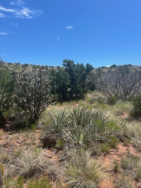 270 Star Meadow Rd, Placitas, NM 87043 - photo 2