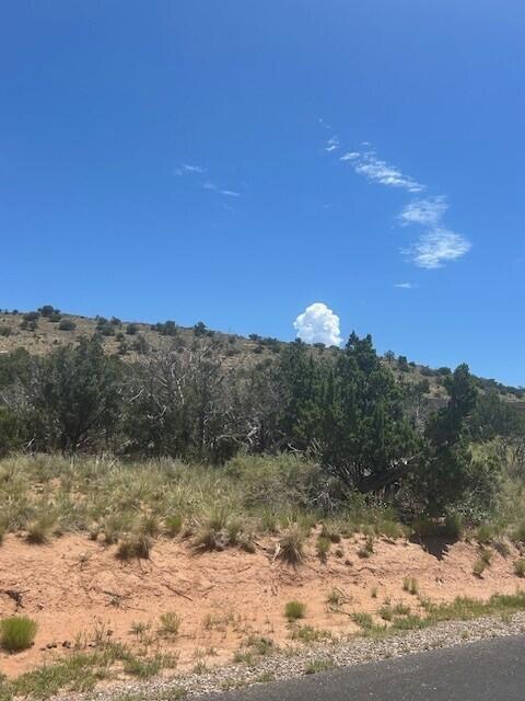 270 Star Meadow Rd, Placitas, NM 87043 - photo 3