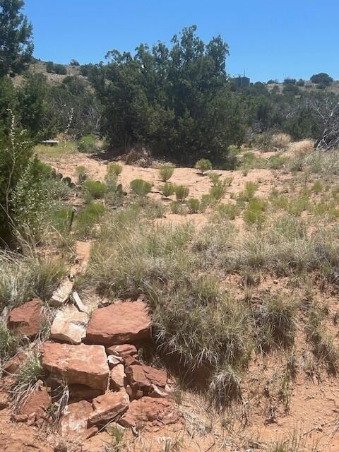 278 Star Meadow Rd, Placitas, NM 87043 - photo 2